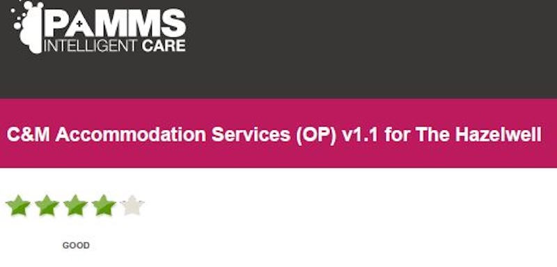 pamms inspection report logo